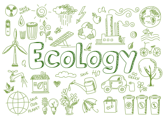 ecology-by-design-e-commerce-impact-environnemental-charte-